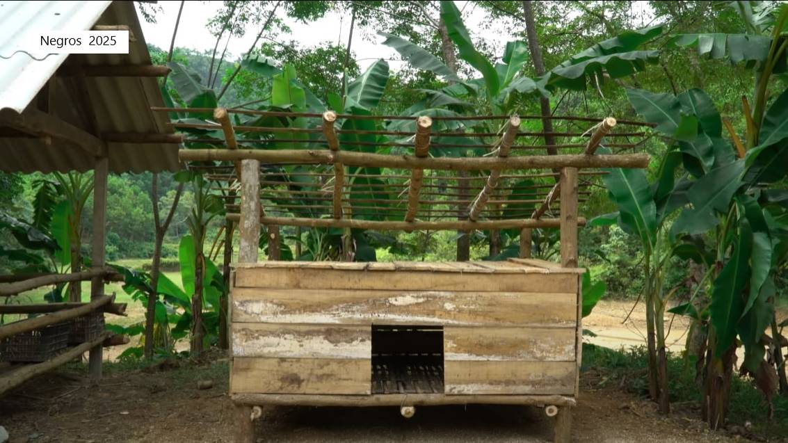 Дорис 6. Дорис строит курятник. смотреть онлайн