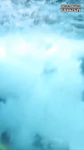 Смотрите новый выпуск о поездке в ТАИЛАНД#снастиздрасьте смотреть онлайн