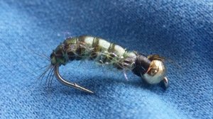 Ибисова муха, мушка для ловли хариуса и ленка