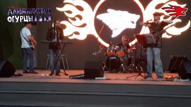 кавер-бенд Алюминиевые Огурцы (live 11/05/2019) Константин Бир смотреть онлайн