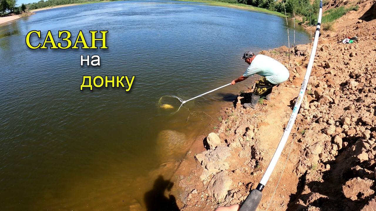 Рыбалка летом на донки. Клюнул сазан на жмых. смотреть онлайн
