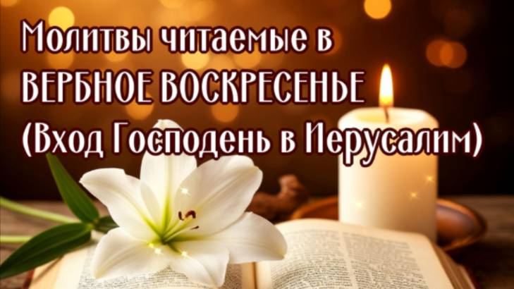В ВЕРБНОЕ ВОСКРЕСЕНЬЕ (Вход Господень в Иерусалим) смотреть онлайн