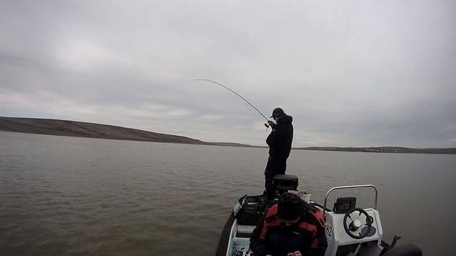 Salau cu Baracuda soft, Jarda Vasile смотреть онлайн