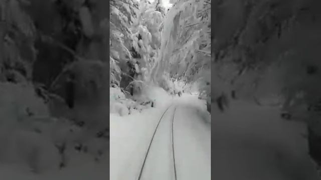 Снежная железная дорога） смотреть онлайн
