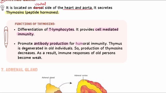 Chemical Coordination and Integration | Revise in 15 minutes | NEET 2024 | Dr. Anand Mani and Team смотреть онлайн