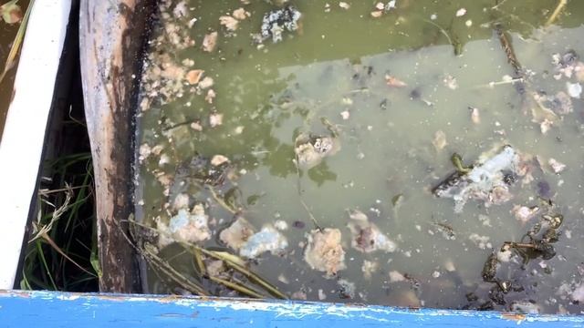 Бульон из крапивы. Забинтовала иргу. смотреть онлайн