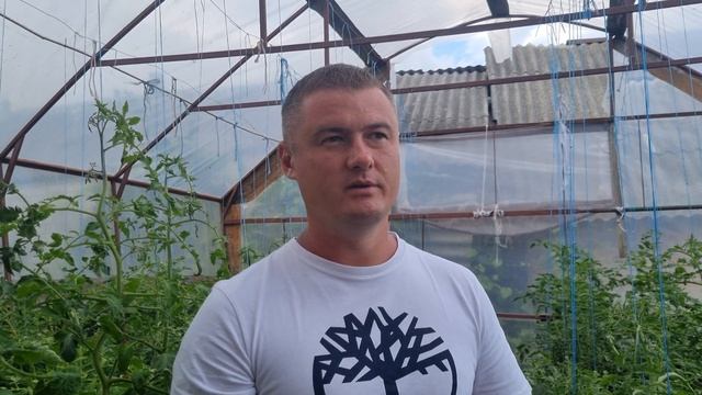 П'ять основних методів профілактики фітофторозу! смотреть онлайн