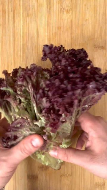 Спринг Роллы смотреть онлайн