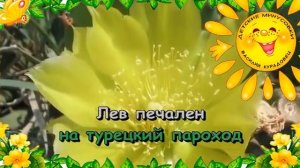 Песня  Лев  циркач Из мультфильма В порту. Караоке для детей.