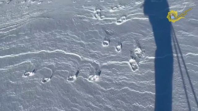12 апреля в Воркуте. Доча на лыжне. смотреть онлайн