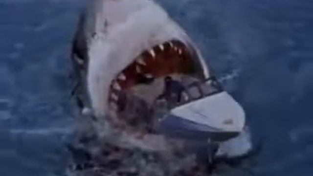 Samaya bolshaya akula v mire Megalodon spaces im смотреть онлайн