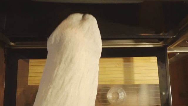 홈메이드 클로티드 크림 만들기 How to make clotted cream, 스콘을 더 맛있게 먹는 방법 смотреть онлайн