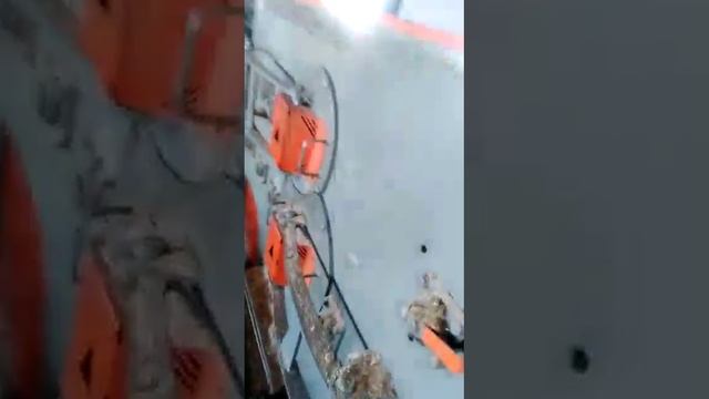 И так каждый день смотреть онлайн