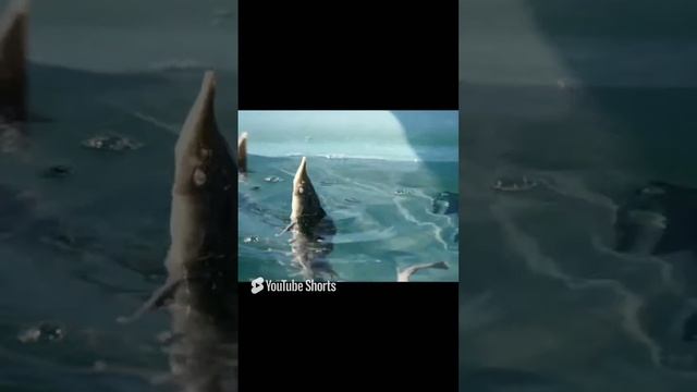 Как автоматизировать кормление на УЗВ. Рыбная ферма в гараже. смотреть онлайн