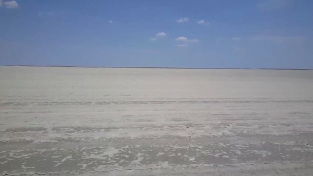 mole digging a hole at kgalagadi transfrontier park in botswan смотреть онлайн