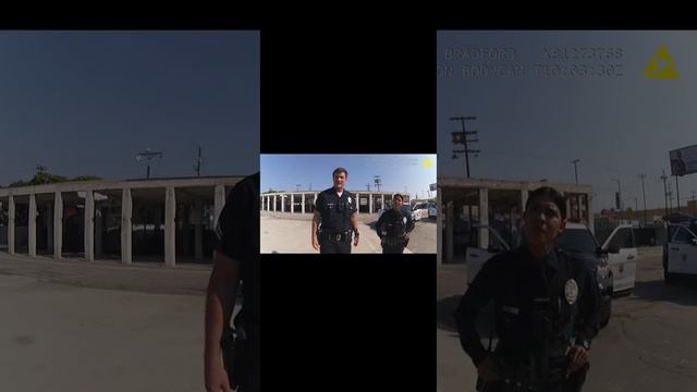 Nolan Stops A Woman With Bomb Collar Part 3 смотреть онлайн