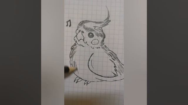 How to draw a cute bird 🐦 смотреть онлайн