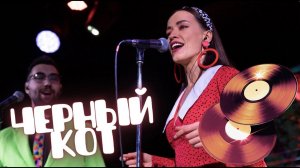 Жил да был ЧЕРНЫЙ КОТ за углом /СТИЛЯГИ BAND / Концерт московской кавер группы