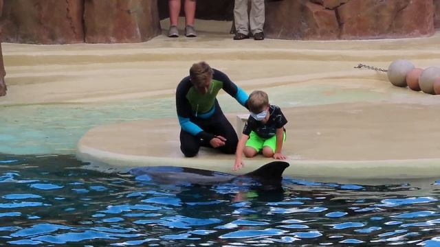 Dolphin Adventures | Full Show Part 4 (10/9/21) смотреть онлайн