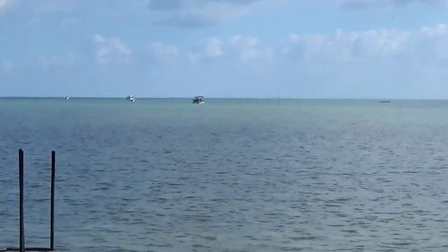 LPI 278 смотреть онлайн