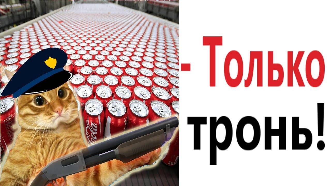 ПРИКОЛЫ С КОТАМИ! Смешные ЖИВОТНЫЕ с озвучкой! Смешные коты!