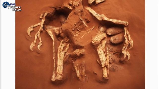 Sigilmassasaurus NON Esiste | L'Estinzione della Megafauna Australiana | Science News смотреть онлайн