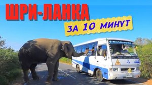 Шри-Ланка 🇱🇰 ТОП-достопримечательности тропического острова