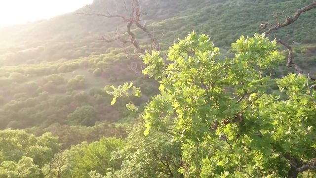 Прогулки по Карадагу смотреть онлайн