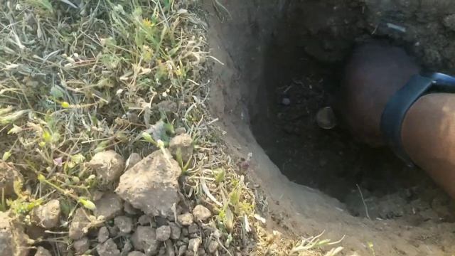 Simplex Update 2.76...Park 1 vs Park 2 More Depth and Anfibio on a 14in Quarter смотреть онлайн