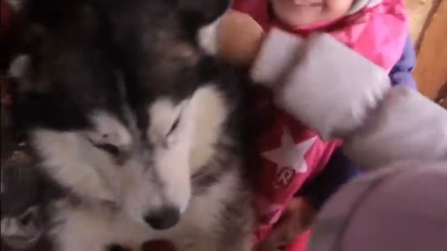 Суббота хмурая и радостная смотреть онлайн