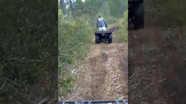 Honda 300 and Grizzly 350 смотреть онлайн