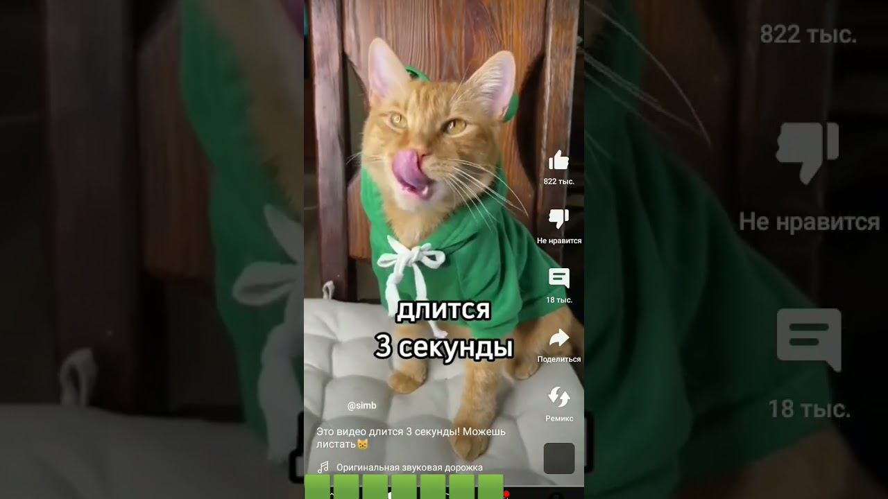это видео длится 3 секунды смотреть онлайн