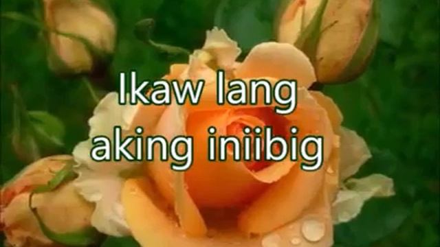 My Valentine's Tagalog version смотреть онлайн