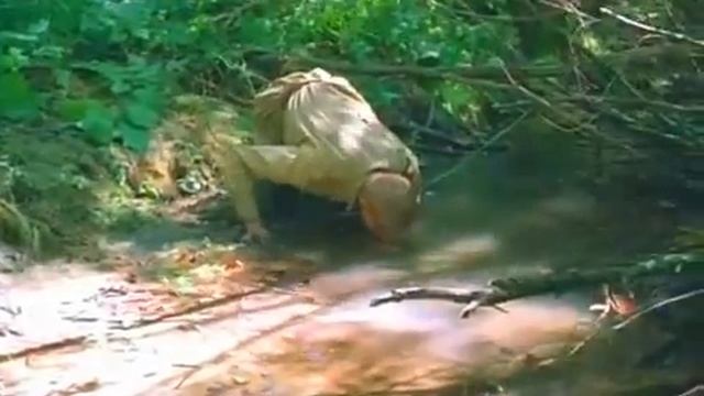 Градский. Маятник качнется (В августе 44) смотреть онлайн