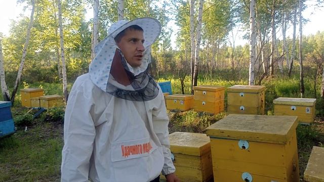 Подготовка пчел к раннему медосбору Амурская область, Бурейский район. смотреть онлайн
