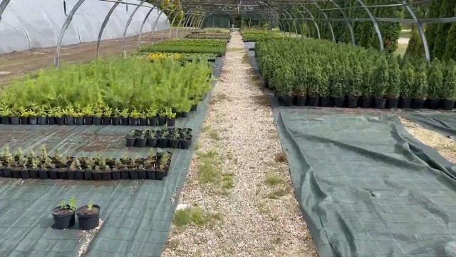 Питомник декоративных растений GARDENBEL смотреть онлайн