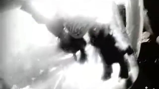 💕Клип под музыку"Faded"💕Широ и Скай смотреть онлайн