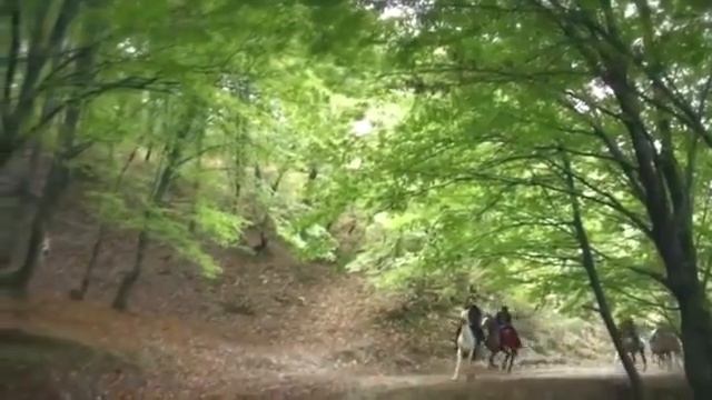 Великолепный век съёмки смотреть онлайн