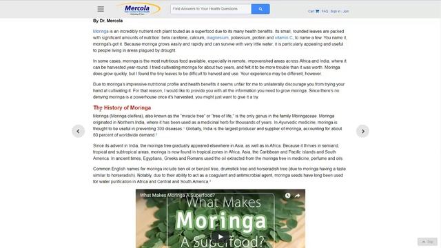 How To Grow The Superfood Moringa Tree смотреть онлайн