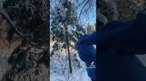 видео из тик тока про ёжика Борю