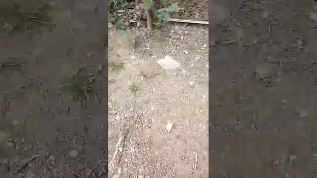 на 50 зрителей палю лицо. смотреть онлайн