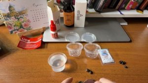 Как прорастить семена Стрелиции Регина и Стрелиции Николай. Скарификация.