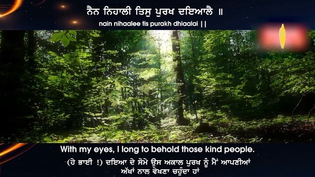 ਤਿਸੁ ਚਰਣ ਪਖਾਲੀ ਜੋ ਤੇਰੈ ਮਾਰਗਿ ਚਾਲੈ tis charan pakhaalee jo terai maarag chaalai - Ranjit Singh Ji смотреть онлайн