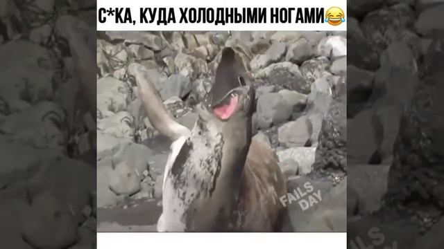 Приколы от Артема смотреть онлайн