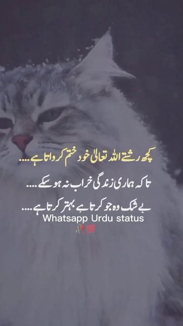 Kuch rishty Allah khud #islamic #status #whatsapp Urdu status beautiful quotes Urdu best ever lines смотреть онлайн