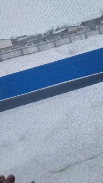 Природа ЛесоСад Стратификация сосны 27.01.24г смотреть онлайн