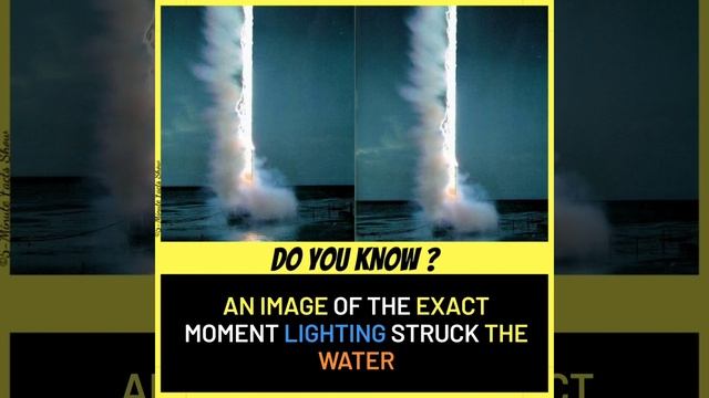 Amazing Facts You Need To Know | The Amazing Fact | #60 Factology | Talent Bunch Facts смотреть онлайн