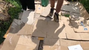 Мульчирование картоном