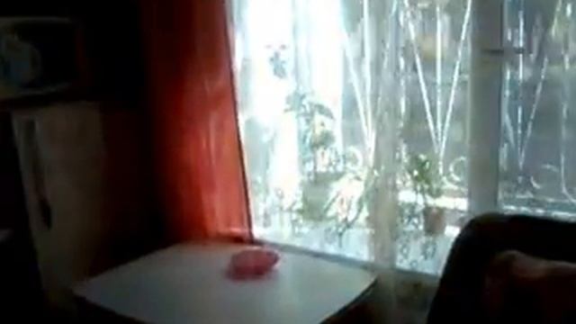 Продам квартиру-студию в Волхове смотреть онлайн