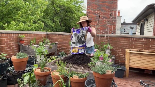 Planting Queen Lime Zinnias & Supertunias While Trying To Avoid A Storm смотреть онлайн